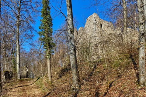 The Hohenmelchingen castle ruin on the Zollernalb near Melchingen, Burladingen, Swabian Alb,