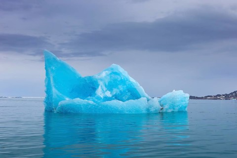Iceberg, ice floe from calving Monacobreen glacier floating in the Liefdefjorden, fjord in Haakon