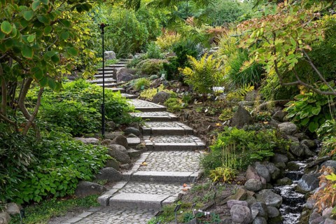 Stone staircase leads through lush green garden with peaceful atmosphere, Botanical Garden or