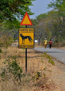 Warning Sign Painted dog, Attention African Wild Dogs, Hwange National Park, near Hwange,