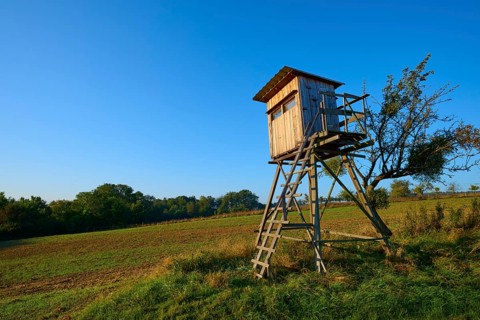 A wooden raised hide stands at the edge of a field under a clear blue sky in an autumnal landscape,