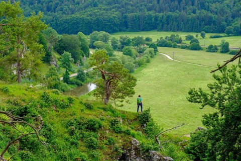Altmühl, Altmühltal Panorama Trail, Twelve Apostles rock formation, near Solnhofen, Altmühltal,