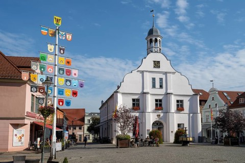 Town hall and guild tree, market square, Wolgast, Usedom Island, Mecklenburg-Western Pomerania,