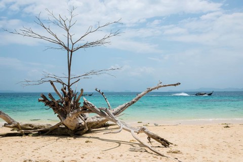 White sandy beach, Sunrise Beach, Koh Kradan, Hat Chao Mai National Park, Trang Province, Southern