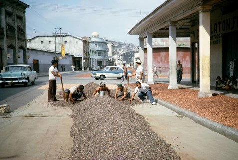 Men drying cocoa beans on the street, Guayaquil, Guayas province, Ecuador, South America 1962