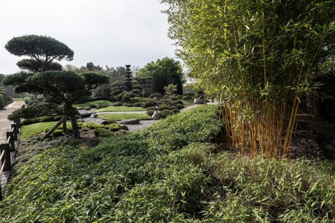 Japanese Garden, Park of Gardens, Bad Zwischenahn, Lower Saxony, Germany