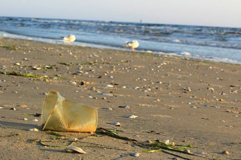 Plastic waste on the beach of the Baltic Sea, September, Germany