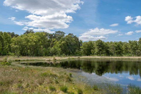 Nature conservation and FFH area, Heideweiher, Heubachniederung, Gescher, Münsterland, North