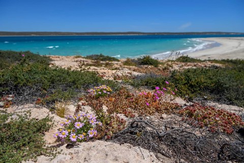 Landscape on Dirk Hartog Island, Dirk Hartog Island National Park, named after the Dutch navigator