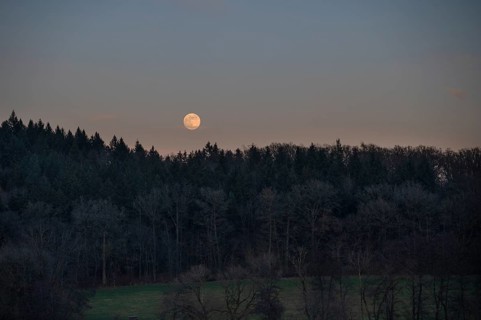 Full moon with forest landscape, Upper Bavaria, Germany