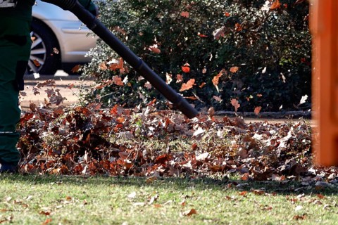 Leaf blower, March, Germany