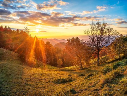Sunset in the Scharzwald in autumn, view over the Rhine plain to the Vosges, Black Forest,