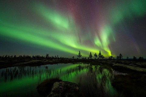Northern Lights (Aurora borealis) reflected in a mountain lake, Norrbotten, Lapland, Sweden,