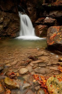 Forest Stream in autumn colours, St. Gallen, Switzerland