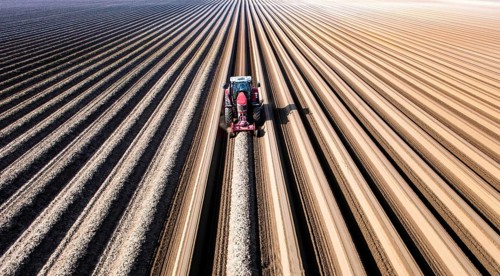 Klaistow, 07.03.14 JE - An aerial photo shows a tractor in a large asparagus field. Getting ready