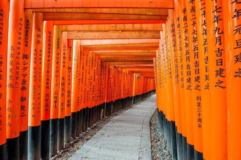 Walk through hundreds of red traditional torii gates, Fushimi Inari Taisha, Shinto Shrine, Fushimi