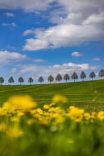 Row of trees on a hill in spring. Landscape on the edge of Schönbuch near Waldenbuch. Waldenbuch,