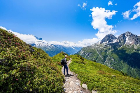 Mountaineers on hiking trail, mountain panorama with glaciated mountain peaks, Aiguille du Midi and