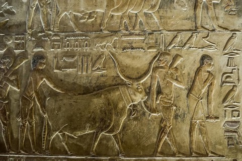 Tomb of Ptahhotep, Sakkara, Saqqara, UNESCO World Heritage Site, Memphis, Cairo, Egypt