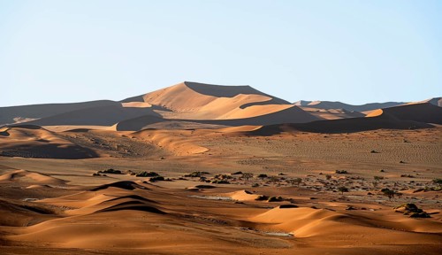 Red sand dunes, Sossusvlei region, Namib Desert, Namib-Naukluft National Park, Namibia