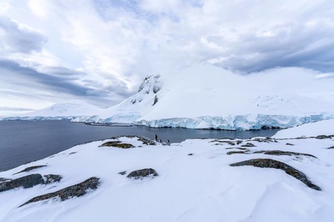 Snowy coastal landscape with glacier break-off and snow-covered mountain, small group of gentoo