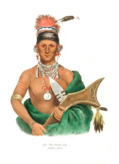 American Indian, Native American, Ap-Pa-Noo-Se, Chief of the Saukie, Sauk or Sac, Native Americans