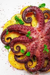 Octopus with potatoes and spices, on a light plate, top view, no people, homemade, close-up