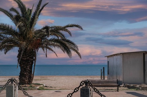 A beautiful palm tree stands by the peaceful ocean at sunset in Marche, Italy. The colorful sky and