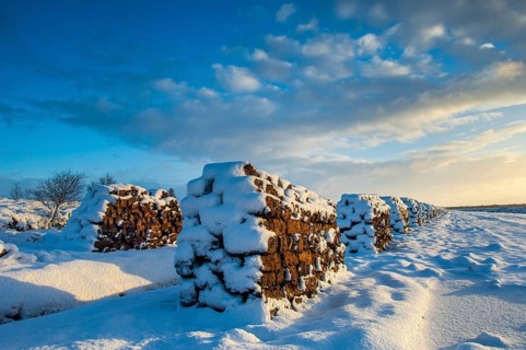 Peat cut in sod in a wintry moor, Goldenstedt, Lower Saxony, Germany