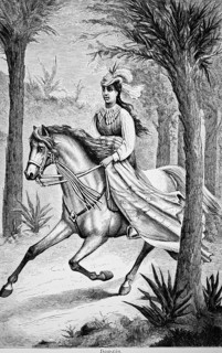 Hawaiian, young woman riding a horse at a trot through a tropical forest, reins firmly in her