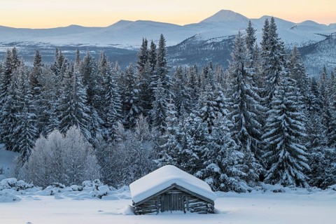 Snowy alpine hut, Övre Kvebergsvangan, Alvdal, Hedmark, Innlandet, Norway, January 2026