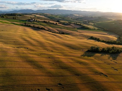 Panoramic drone shot of rolling fields and soft hills in Macerata, Italy, bathed in golden evening