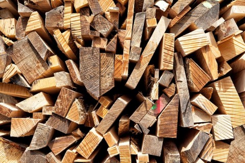 Pile of beech wood, Germany