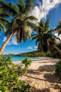 Petit Police Bay Beach, Mahe, Republic of Seychelles, Indian Ocean