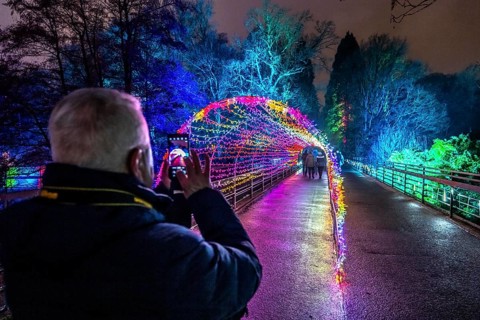 Park lights, events in winter, in the Grugapark in Essen, many different light installations,