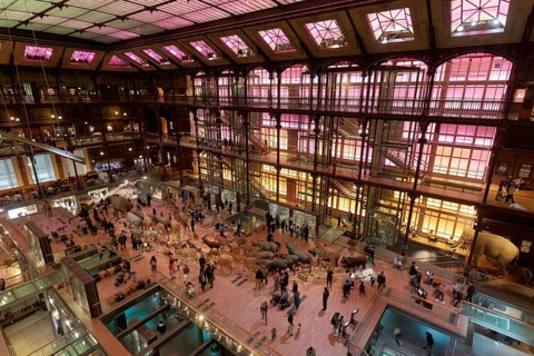Grande Galerie de l'Evolution, Musée National d'Historie Naturell, National Museum of Natural