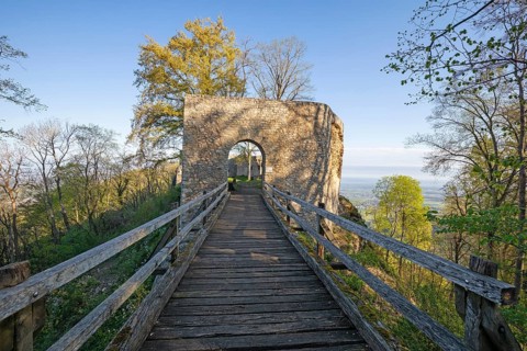 Historic castle ruin Rauber (Diepoldsburg) with wooden bridge and spring flowers at sunrise.