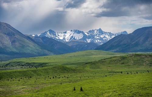 Tundra and mountain landscape with dramatic cloudy sky, Denali National Park, Alaska, USA