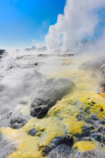 Prince of Wales and Pohutu geysers erupting, Te Puia Thermal Valley, Rotorua, Bay of Plenty, North