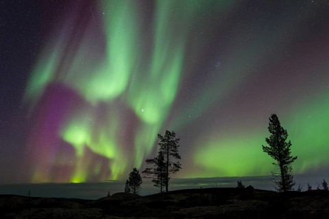 Northern Lights (Aurora borealis), Norrbotten, Lapland, Sweden, September 2024