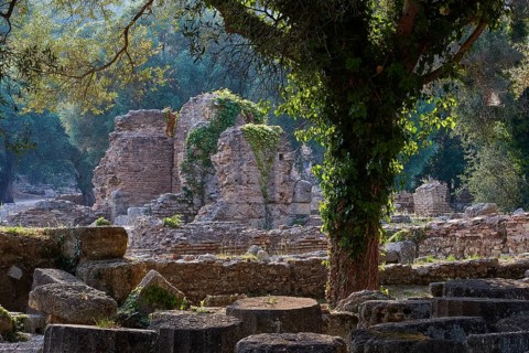 Buleuterion, Ancient ruins and a tree covered with plants in the shade, Archaeological Site,