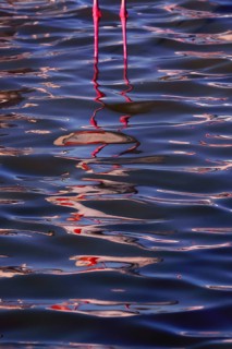 An artistic view of a cropped pink flamingo's long legs and shadow reflected on the rippling water