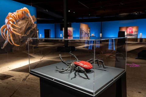 New exhibition at Gasometer Oberhausen, Mythos Wald, on 3 levels and with several thematic
