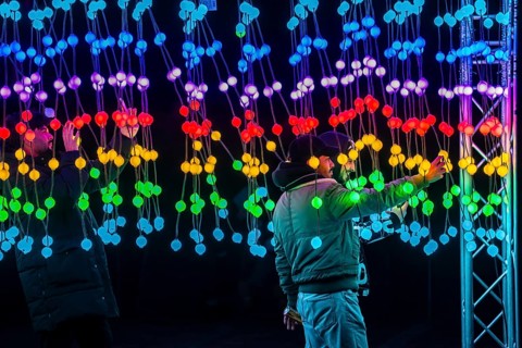 Park lights, winter event, in the Grugapark in Essen, many different light installations, across