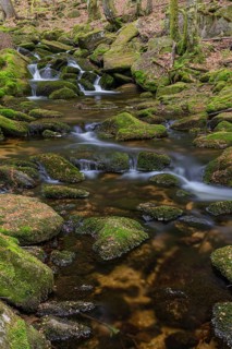 Kleine Ohe creek below Waldhaeuser village in the Bavarian Forest Nationalpark. Flowing water,