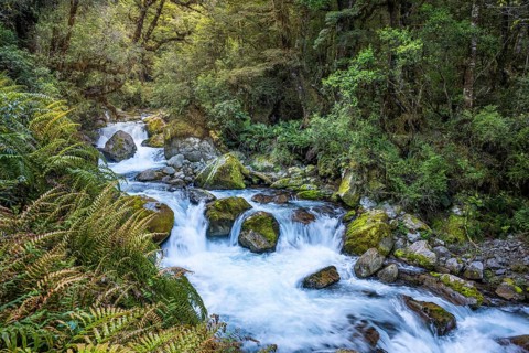 Landscape in New Zealand with river and forest. Waterfalls Marian Falls, Fiordland National Park,