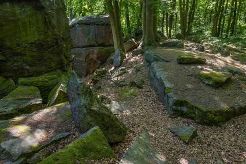 Rocks in green beech forest, Ore Mountains, Czech Republic, May 2024