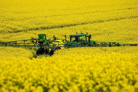 Agriculture, rapeseed field in full bloom, farmer sprays the field with a John Deere M952 trailer
