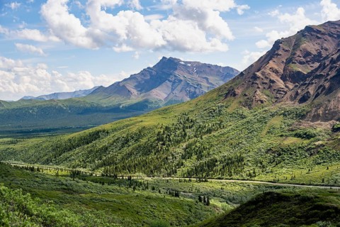 Tundra and mountainous landscape of the Alaska Range, Sable Pass, Denali National Park and
