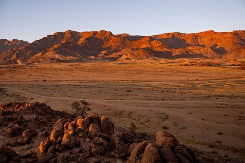 Desert landscape with Brandberg in morning light, at sunrise, Erongo, Damaraland, Namibia